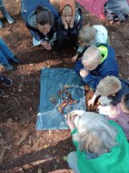 IMG-20220916-WA0015