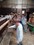 IMG-20221021-WA0032